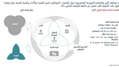 صورة التحول الرقمي في القطاع العام، حتميًا ولا غنًى عنه