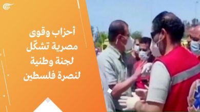 صورة أحزاب وقوى مصرية تشكّل لجنة وطنية لنصرة فلسطين