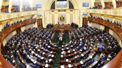 صورة نواب البرلمان يؤيدون صندوق الطوارئ الطبية.. وإشادة بالمبادرات الصحية الرئاسية