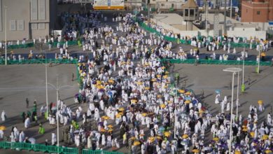 صورة وزراء ورؤساء مكاتب شؤون الحجاج العرب يشيدون بالتخطيط والتنظيم الذي ساهم في موسم ناجح بامتياز