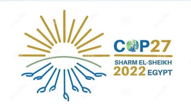 صورة خبير سياحي يكشف عوائد استضافة COP 27 والترويج لمعالم مصر السياحية