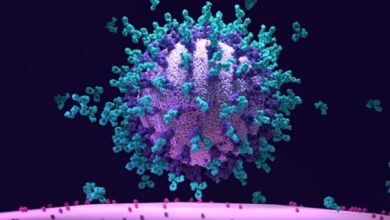 صورة كورونا عبر العالم.. منشأ الفيروس يخلق الجدل بين منظمة الصحة والصين