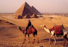 صورة خبير أثري: مصر واحدة من أفضل الوجهات السياحية العالمية