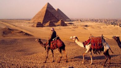 صورة خبير أثري: مصر واحدة من أفضل الوجهات السياحية العالمية